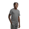 TRIBLEND YOUTH TEE GREY HEATHER