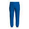 ENDEAVOR M SCRUB JOGGER PANTS SAPPHIRE FRONT