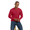CHICAGO SYN M LS INTERLOCK T RED