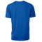 PHOENIX MENS SUPERIOR TEE ROYAL BLUE BACK