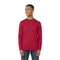 PHOENIX MENS SUPERIOR TEE RED