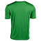 DENALI RECYCLE 100% POLY TEE IRISH BACK